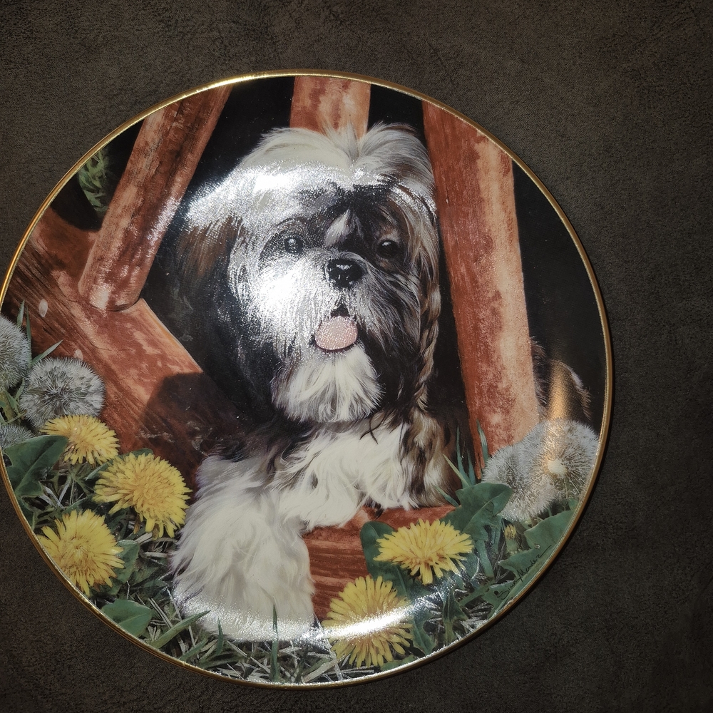 Danbury Mint Shih Tzu Plate with Gold Trim